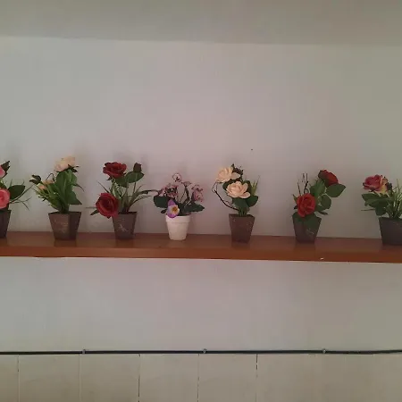 Homestay Casa Machin 5